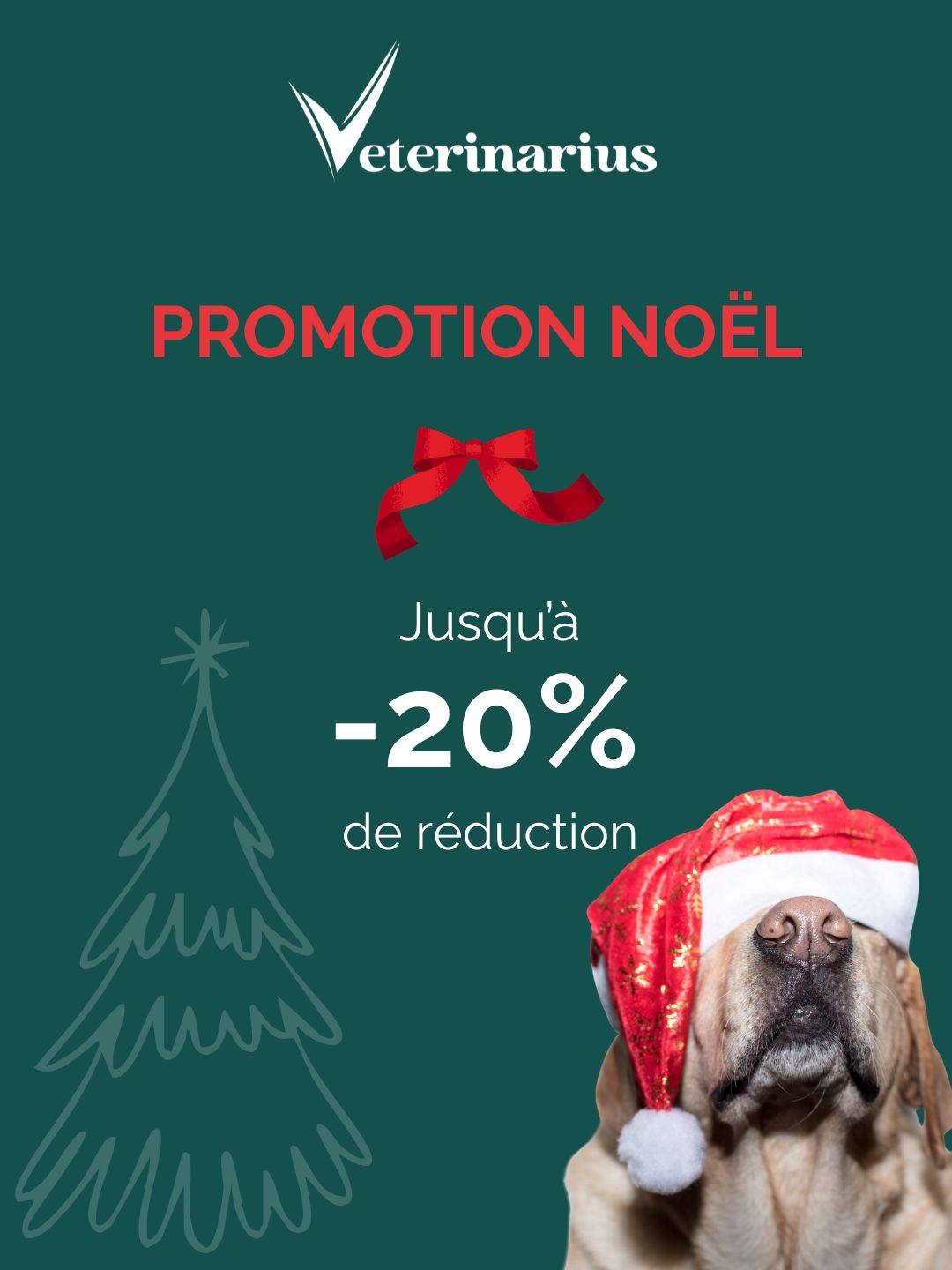 Promotion de Noël 2025