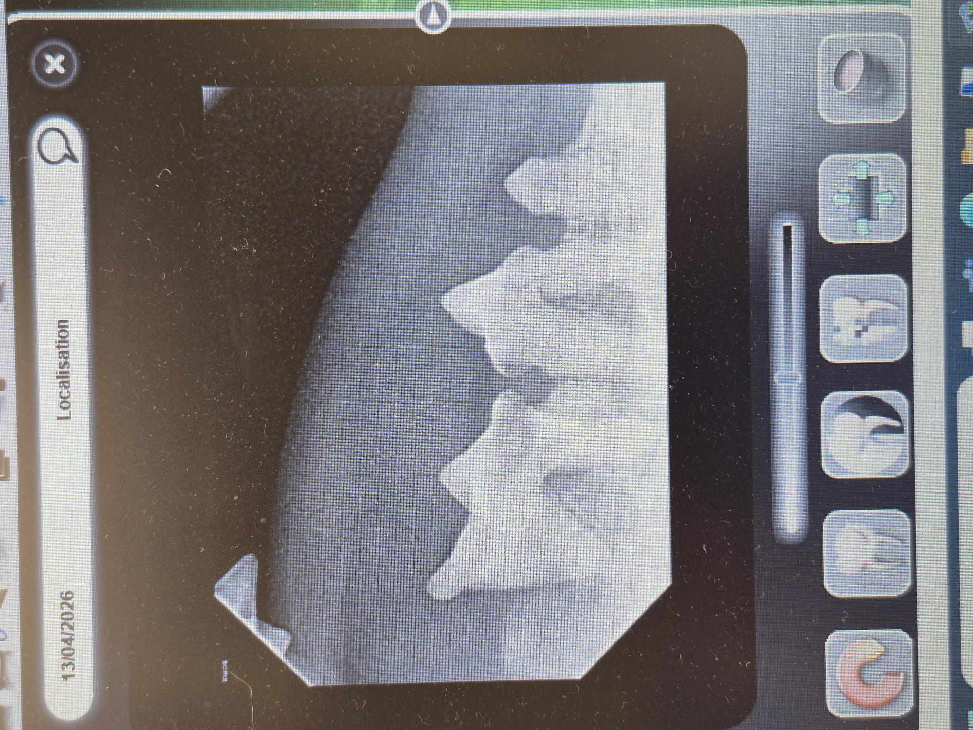 Formation DENT001 : Dentisterie canine et f&eacute;line en pratique g&eacute;n&eacute;rale : examen, diagnostic et prise de d&eacute;cision