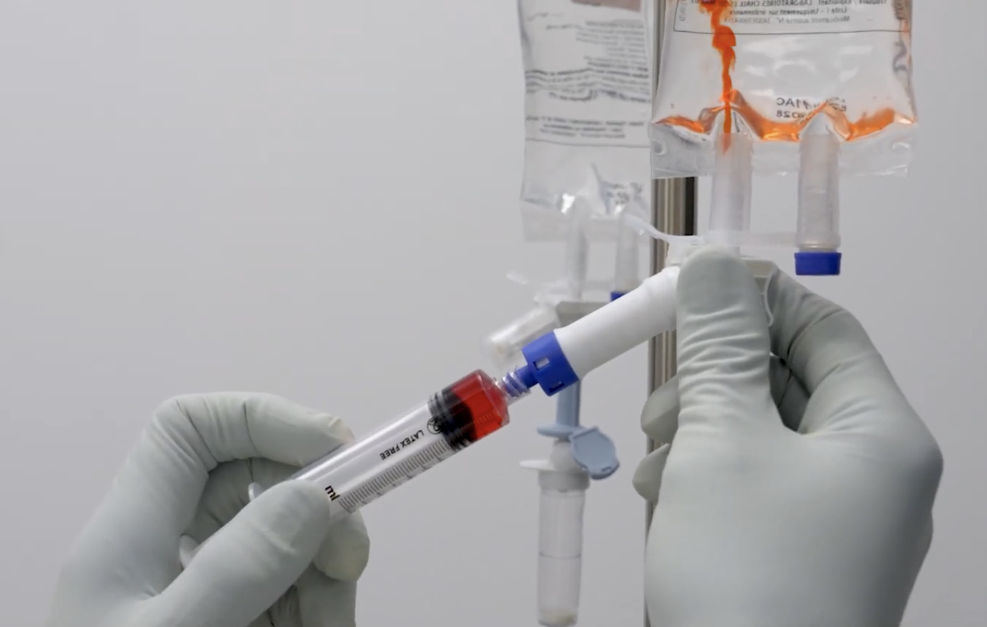 Formation ONCO1 : Oncologie pratique en m&eacute;decine g&eacute;n&eacute;rale : diagnostiquer, d&eacute;cider et accompagner en clinique canine et f&eacute;line