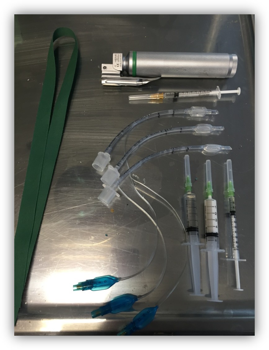 Formation CY-ATAN : Cycle d'anesthésie et analgésie au coeur de votre pratique Formation CY-ATAN : Cycle d'anesthésie et analgésie au coeur de votre pratique