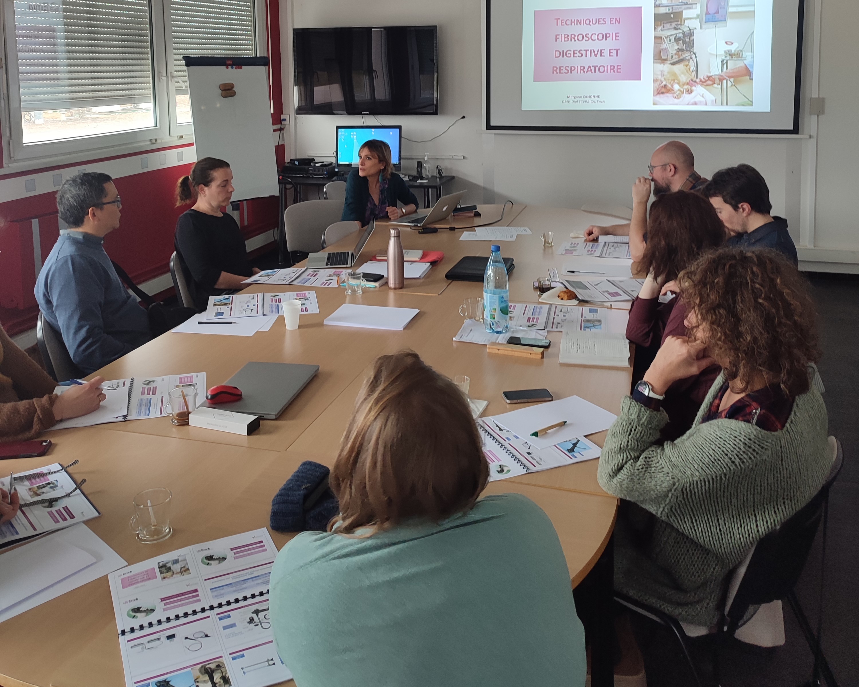 Formation ENDO-CF : Techniques d'endoscopie digestive et respiratoire